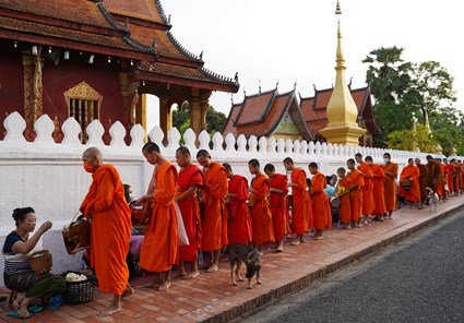 Laos – The Kingdom of Elephants